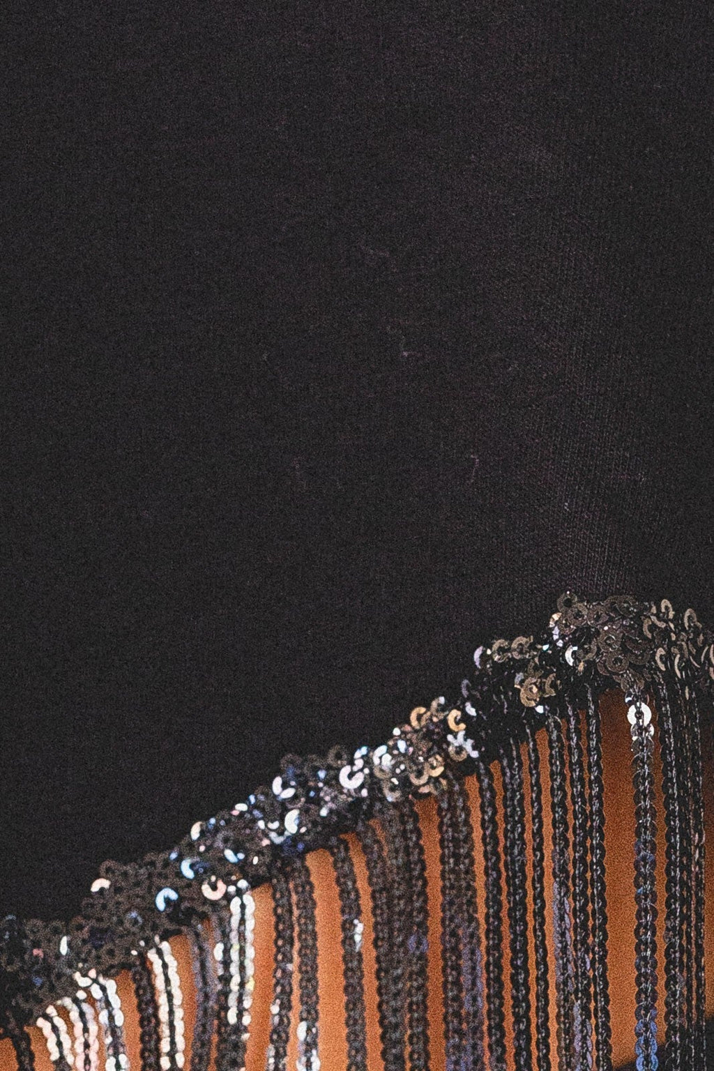 Sequin Fringe Cropped Sweatshirt